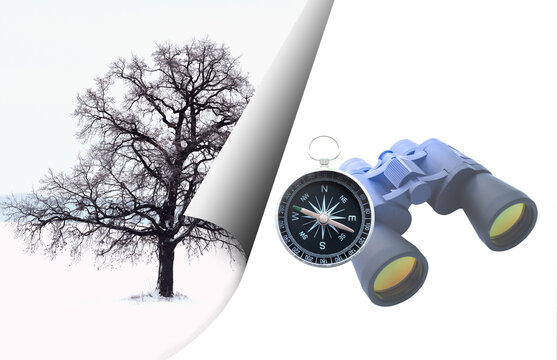 Abstract photo with tree on and with tourist classic compass and classic travel binoculars as symbol of tourism with compass, travel with compass and outdoor activities with compass