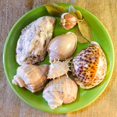 composition of sea shells, heads of garlic and bay leaves on a green plate, background - rough fabric