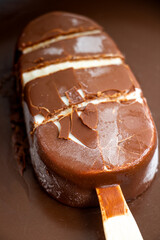 chocolate ice cream in chocolate glaze. select focus. 