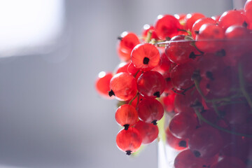Fototapeta premium red currant berries in the glass