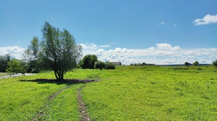 country road to the village through a green field on a sunny day against a blue sky