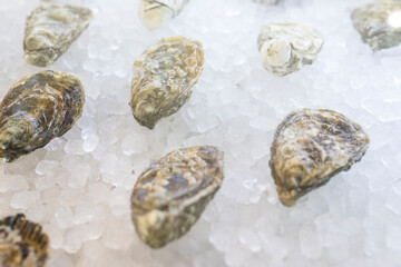 Ostras en hielo