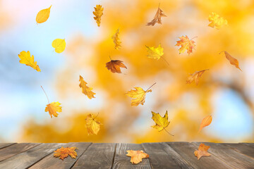 Fototapeta na wymiar Autumn leaves falling on wooden surface outdoors