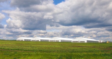 Fototapeta premium Summer rural landscape with green grass and clouds. Plowed field with agricultural buildings. Countryside dairy farm.