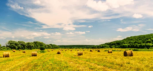 Selbstklebende Fototapeten Melone Scenic view at beautiful hay stacks in a green shiny field with green grass, deep blue cloudy sky , trees and country road, leading far away, summer valley landscape  © Yaroslav