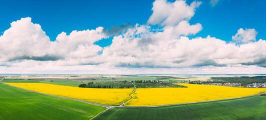 Aerial View Of Agricultural Landscape With Flowering Blooming Rapeseed, Oilseed In Field Meadow In Spring Season. Blossom Of Canola Yellow Flowers. Beautiful Rural Landscape In Bird's-eye View