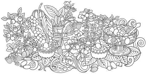 Fruits, berries, sweets hand drawn illustration
