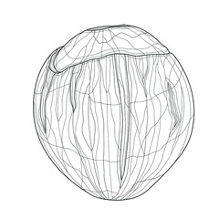 Coconut.Tasty sweets.Coloring book antistress for children and adults. Zen-tangle style.