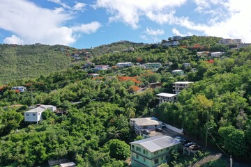 Fototapeta na wymiar Panoramic view of lush Caribbean mountainside greenery in Saint Thomas, US Virgin Islands
