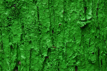 green paint texture