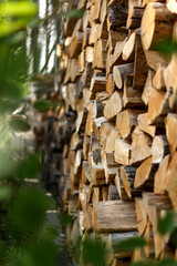 Stock of firewood in the garden. Selective fokus