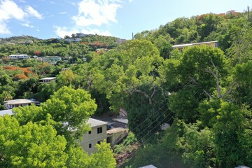Aerial view of lush Caribbean greenery in Saint Thomas, US Virgin Islands