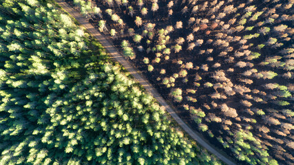 Fototapety na wymiar - Fototapeta24.pl