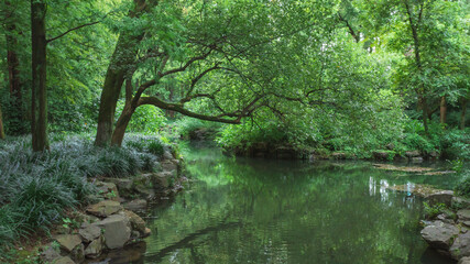 Fototapeta na wymiar Park in West Lake scenic area in Hangzhou, China