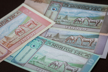Mongolian currency, Tugrik money, Various banknotes