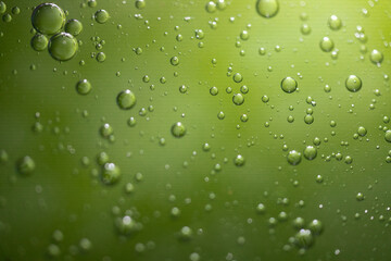 Fototapeta na wymiar Bubbles With a Green Background