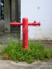 Red fire valve on background of green grass