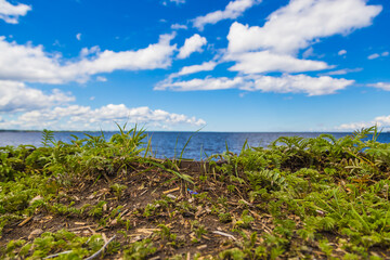 lake and sky and clouds and grass