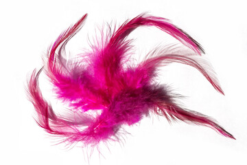 Pink feathers on a white background, abstract background, Fantasy, abstraction, soft color art design, creative, roaring 20