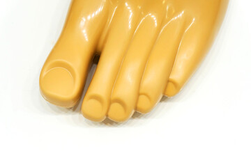 Toe prostheses. Prosthetics of the lower extremities. Fragment of an artificial foot.