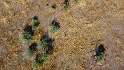 tło ziemia natura brąz bruzdy © Piotr