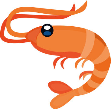 recommend clip art: Vector illustration of a cartoon shrimp