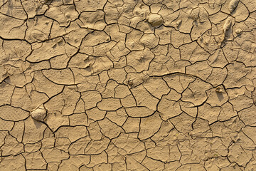 Big mud texture of dry crack on the ground in drought season