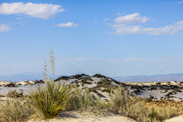White Sands National Park -  Las Cruces, New Mexico © Delaney