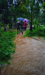 Obraz premium walking in the rain