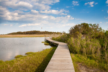 Fototapeta na wymiar Boardwalk through salt marsh wetlands under a blue sky with fluffy clouds at Assateague Island National Seashore, Maryland