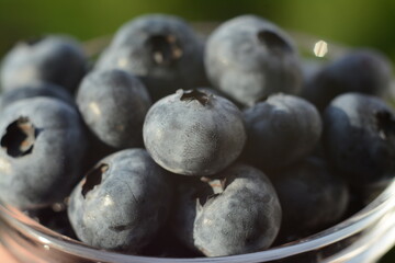 Summer blueberry harvest in a jar