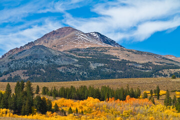 Fall Color Surrounding  Dunderberg Peak  in the Hoover Wilderness of Inyo National Forest Near Bridgeport, California, USA