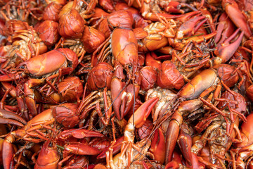 A lot of cooked signal crayfish