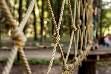 Fototapeta premium Detail of rope park in a forest. Adventure summer park.