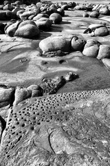 Textural rock formations on the coast of vancouver island black and white photography