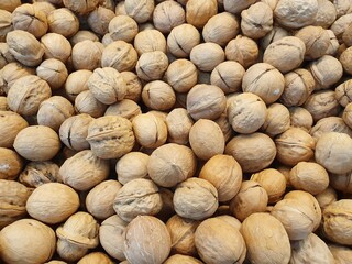 Lots of inshell walnuts.  Brown walnuts are heaped in a large pile after harvest.