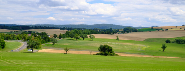 beautiful summer landscape with a field of mature golden wheat,