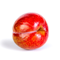 Red plum isolated on the white background