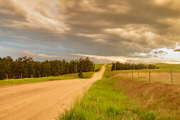 Dirt road in the Great Plains.