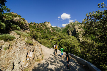 Fototapeta premium camino de san Marti de Canigo, Rousillon, pirineos orientales,Francia, europa