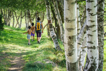 camino entre abedules, sendero arqueologico de Eyne, pirineos catalanes, comarca de Capcir, Francia © Tolo