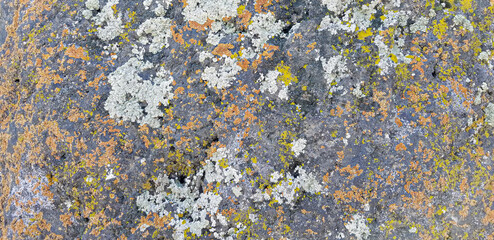 Abstract authentic authentic colored old stones backgrounds