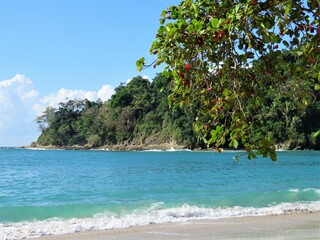 tropical beach in Manuel Antonio