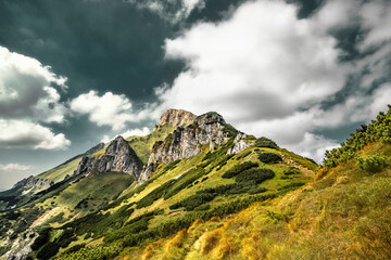 Fototapeta premium Tatry