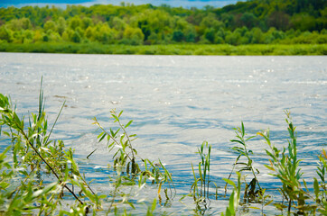Obraz na płótnie Canvas nature protection. River flows. Protect the environment. ecology