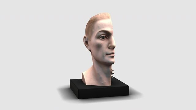 Human head - rotation - 3D model animation on a white background