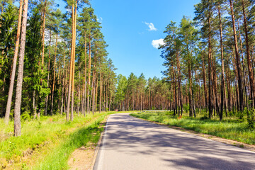 Forest cycling road near lake Nidzkie in Puszcza Piska, Mazury Lake District, Poland