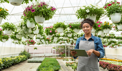 Modern smart flower greenhouse. Smiling african american woman looking at digital tablet in daylight in greenhouse