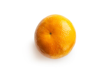 Colourful orange on white background 
