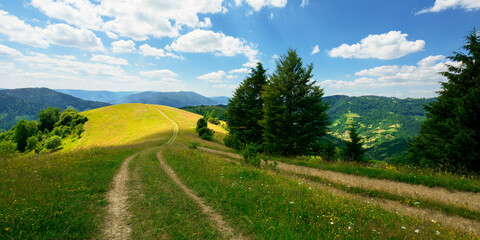 rural landscape on a summer day. dirt road in the grassy fields and rolling hills. fluffy clouds on a blue sky beautiful scenery of mountainous carpathian countryside